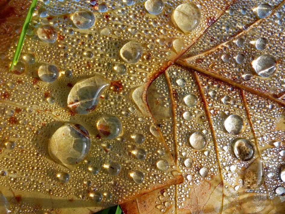 Herfst in abstractie - Weer en landschap - 