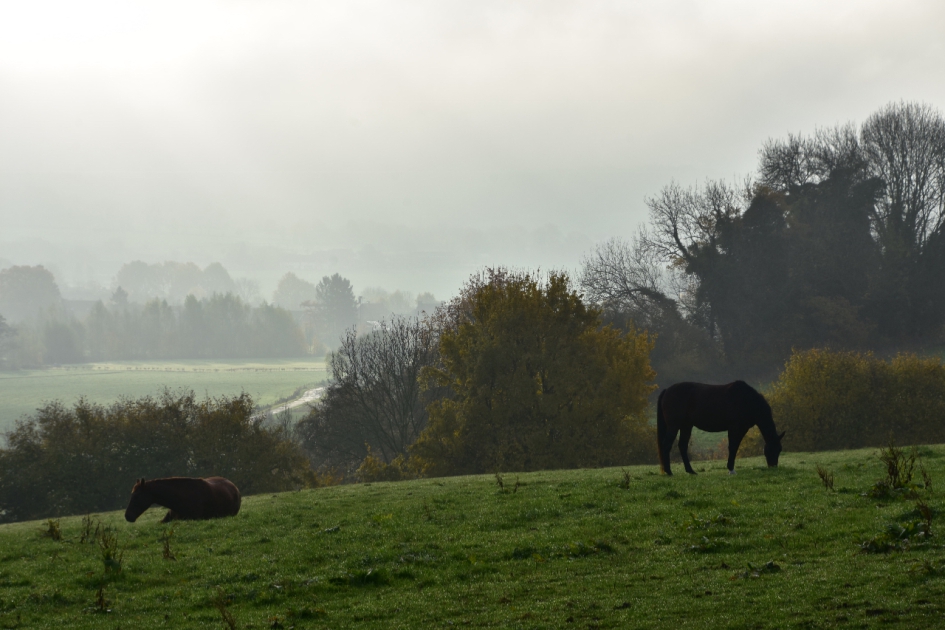 Hoeve Hommerich - Weer en landschap - 