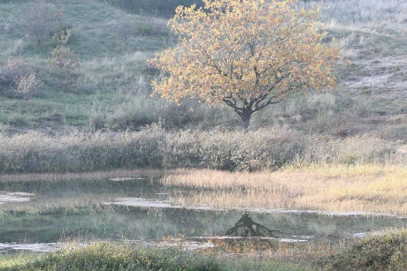 In  de namiddag zon......