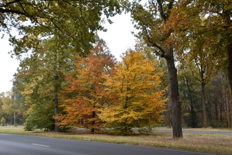 Langs de Amersfoortseweg