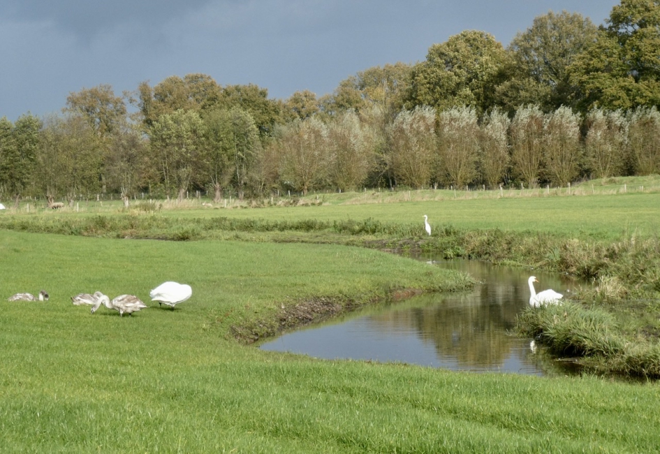 Luntersebeek - Weer en landschap - 