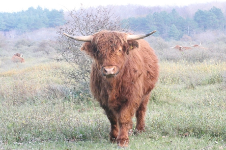 Moet ik even  bij je komen ??