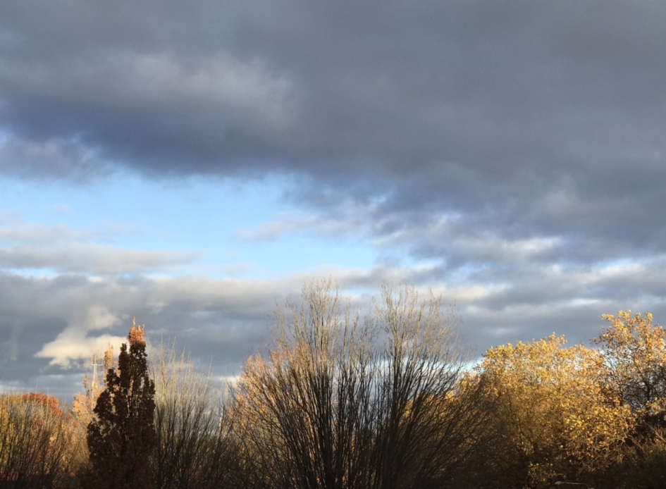 16:00 uur,  de laatste zon - Weer en landschap - 