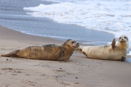 Even zwaaien voor vertrek