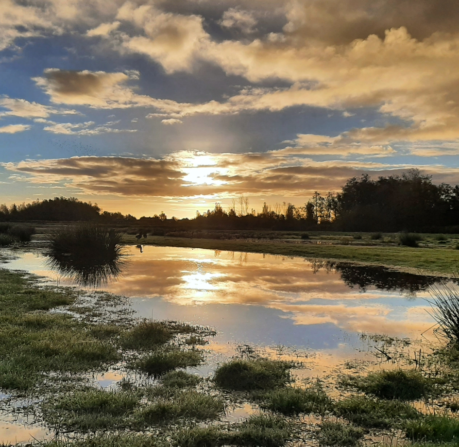 Twiske - Weer en landschap - 