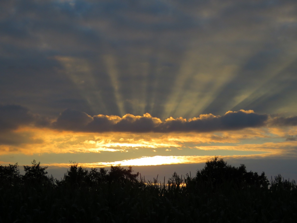 Zonneharpen - Weer en landschap - 