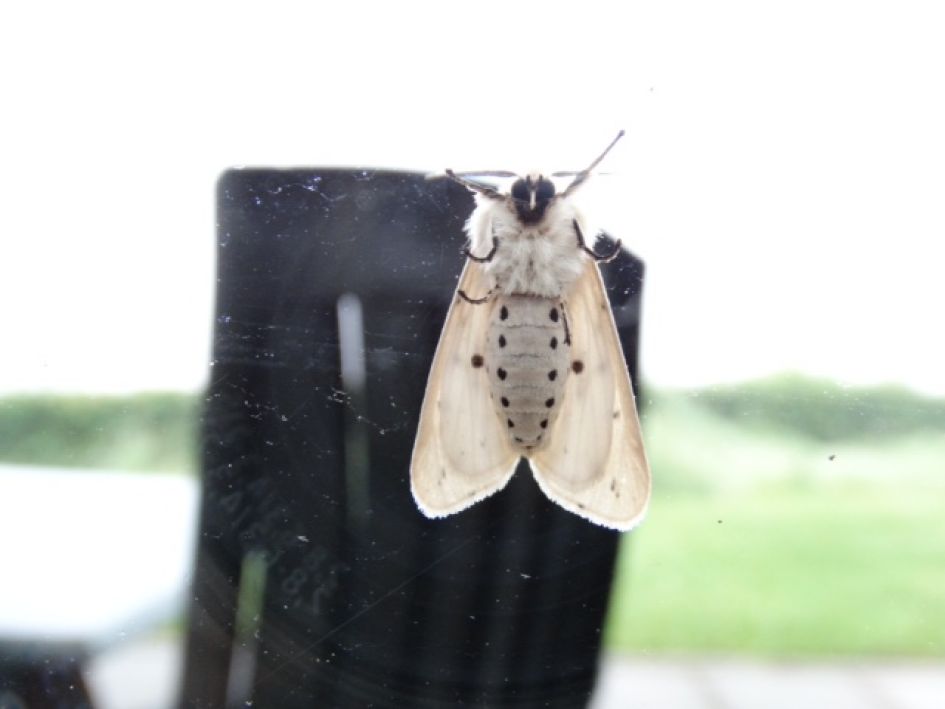 Wat heb ik fout gedaan? Moet steeds naam en code invullen. Dan staat er pagina n