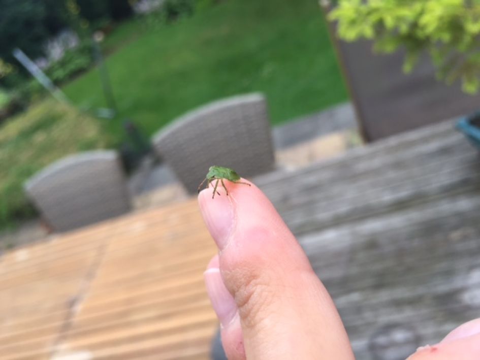 Wants met apart lichaam