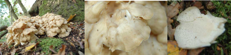 Hier kom ik echt niet uit, help!!