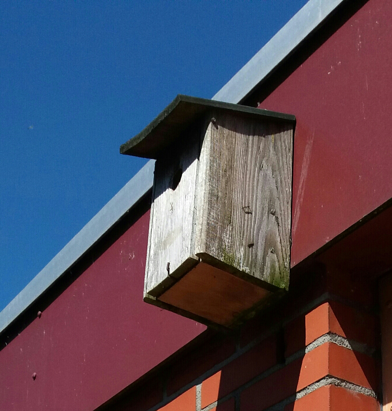 Nestkast koolmeesjes en warmte