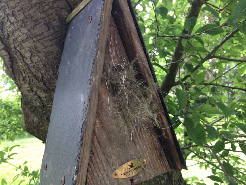 Meesjes gevangen in hokje...