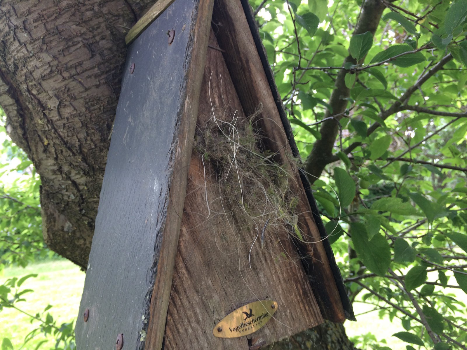 Meesjes gevangen in hokje...