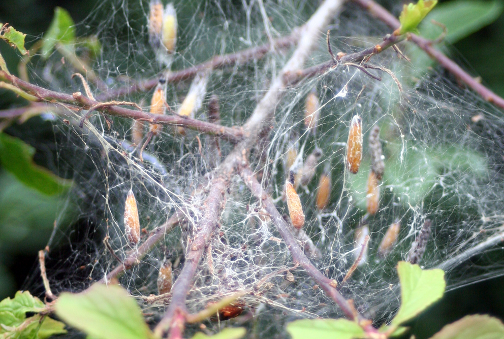 Wachten op de toekomst