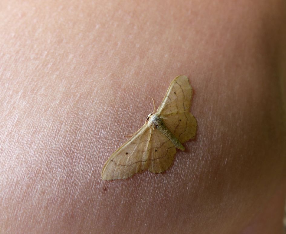 Wat voor spanner is dit?