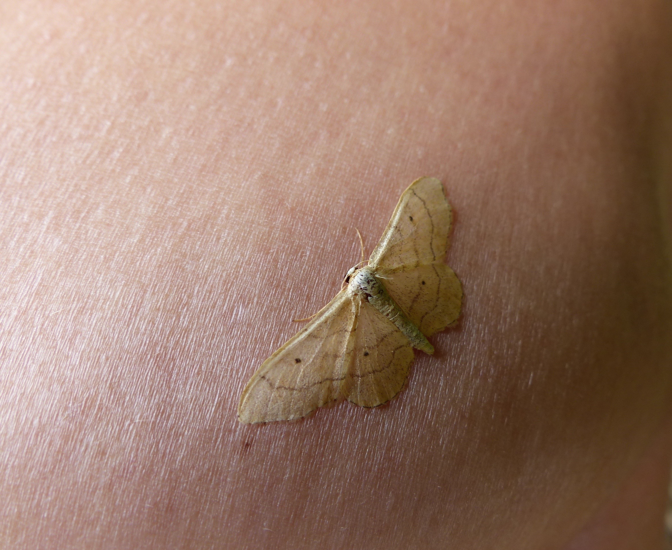 Wat voor spanner is dit?