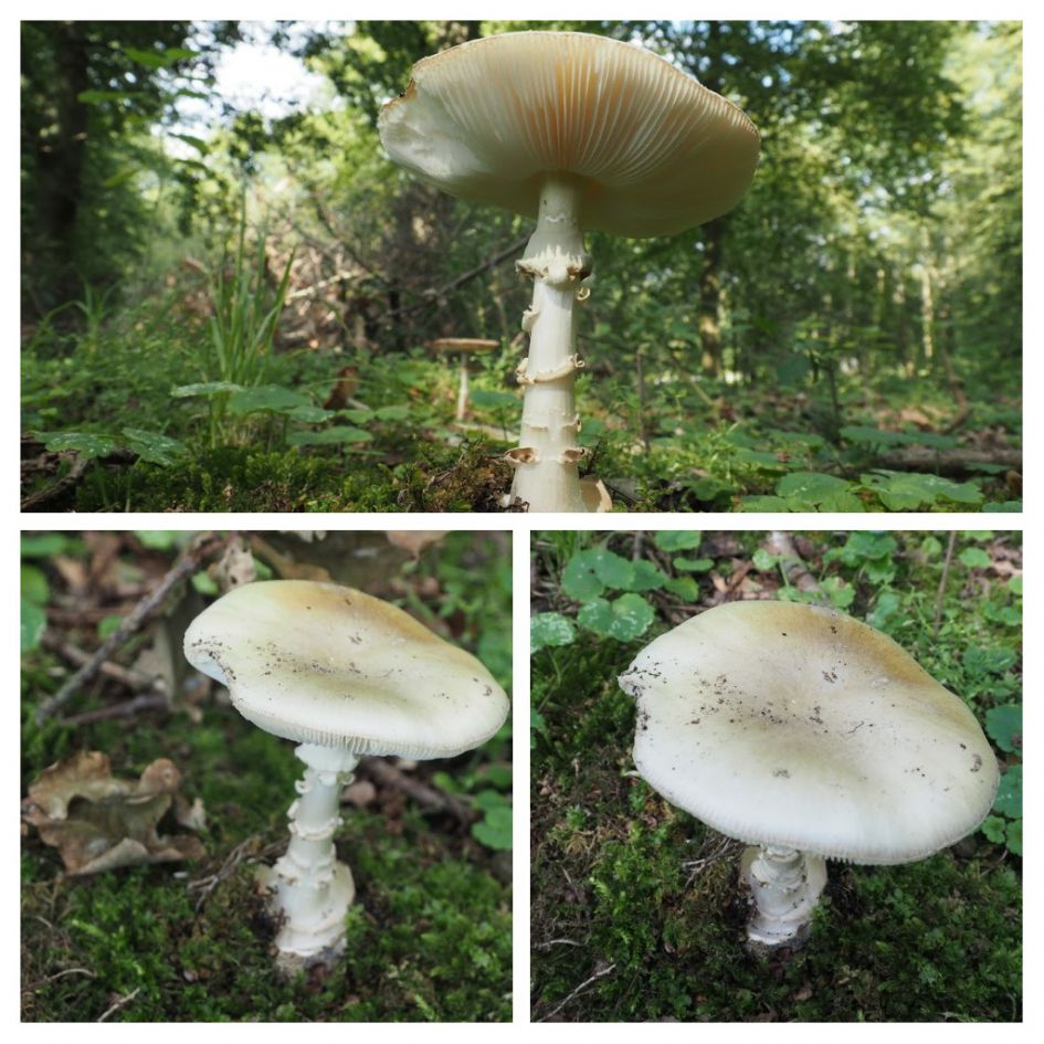 Op dezelfde plek als de vorige.