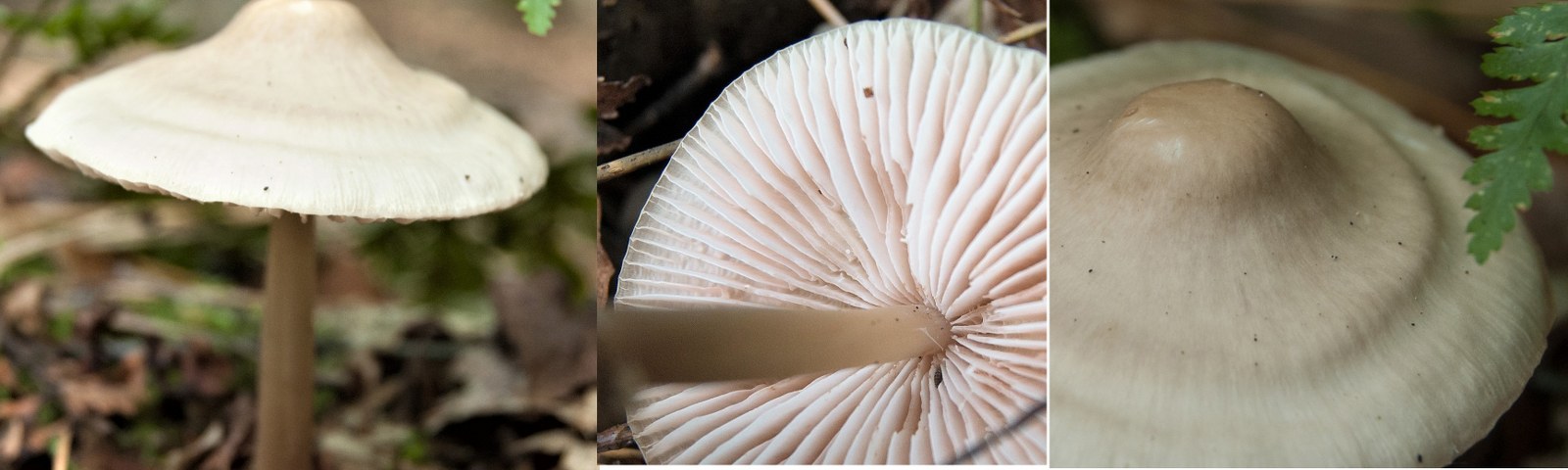 Hier kom ik niet uit!!