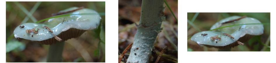 Glimmend lichtblauw ??????