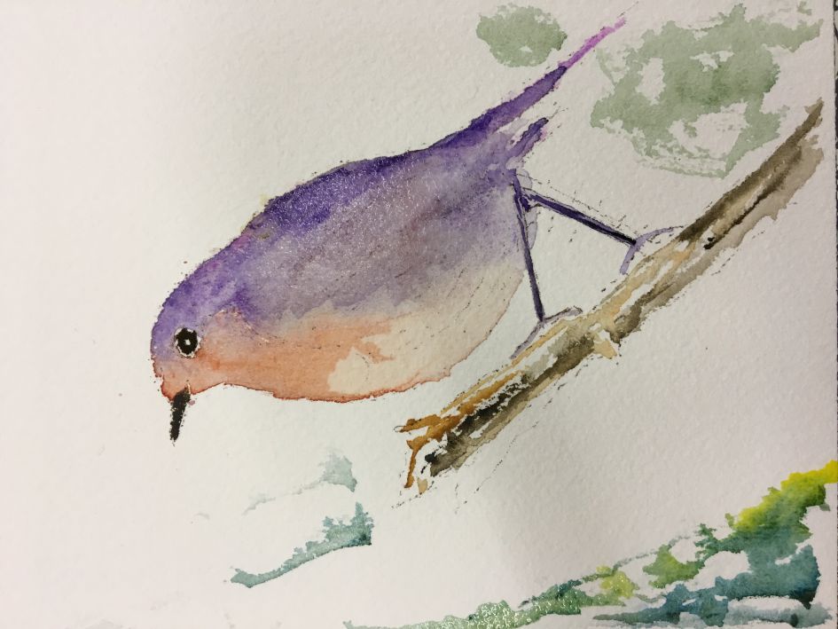 Vraag vanwege copyright