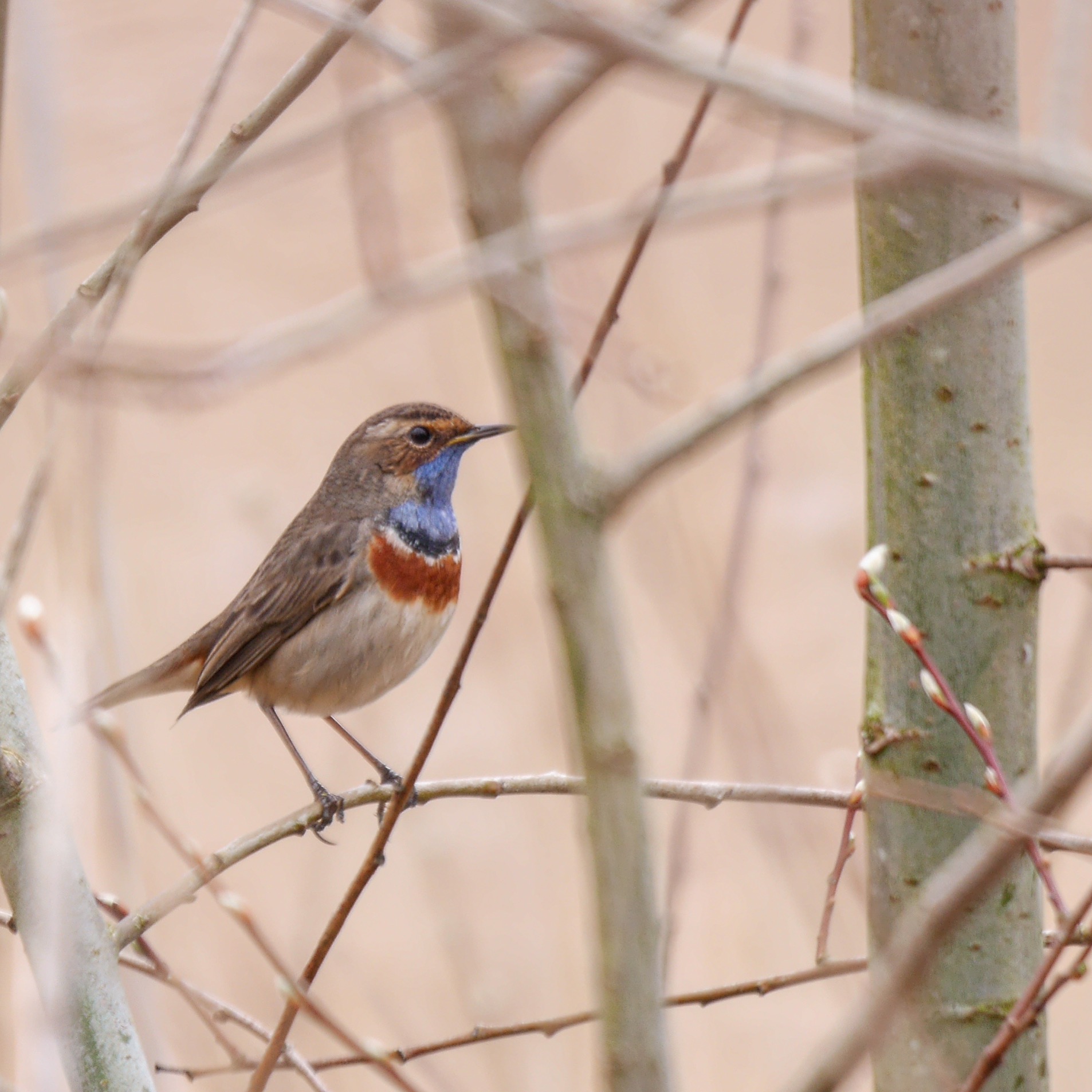 Kan iemand me helpen?