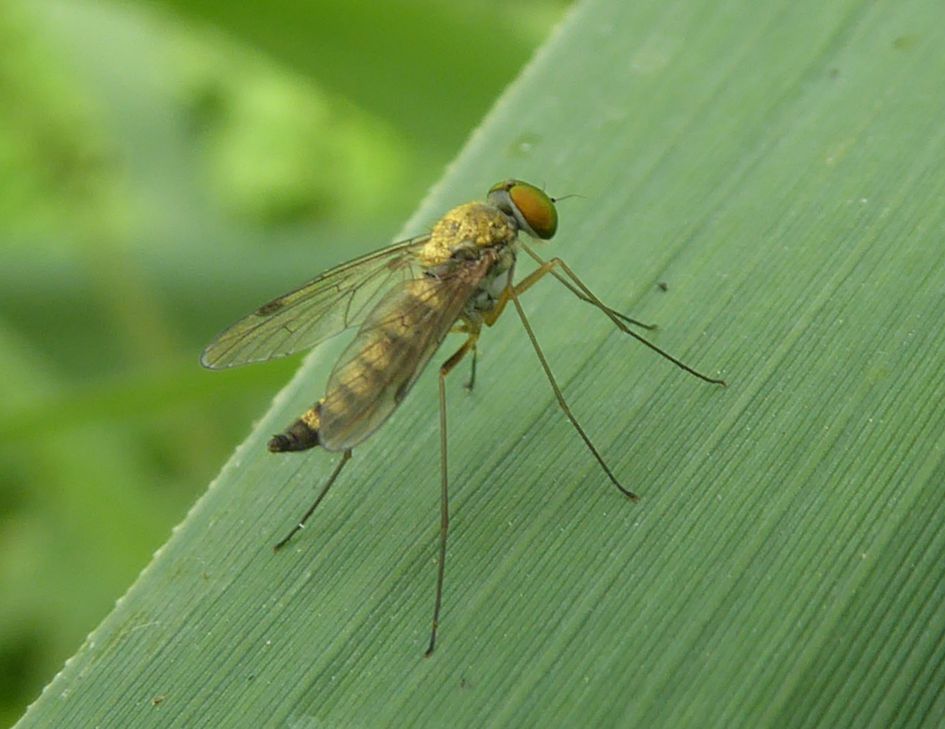 prachtig, maar voor mij naamloos