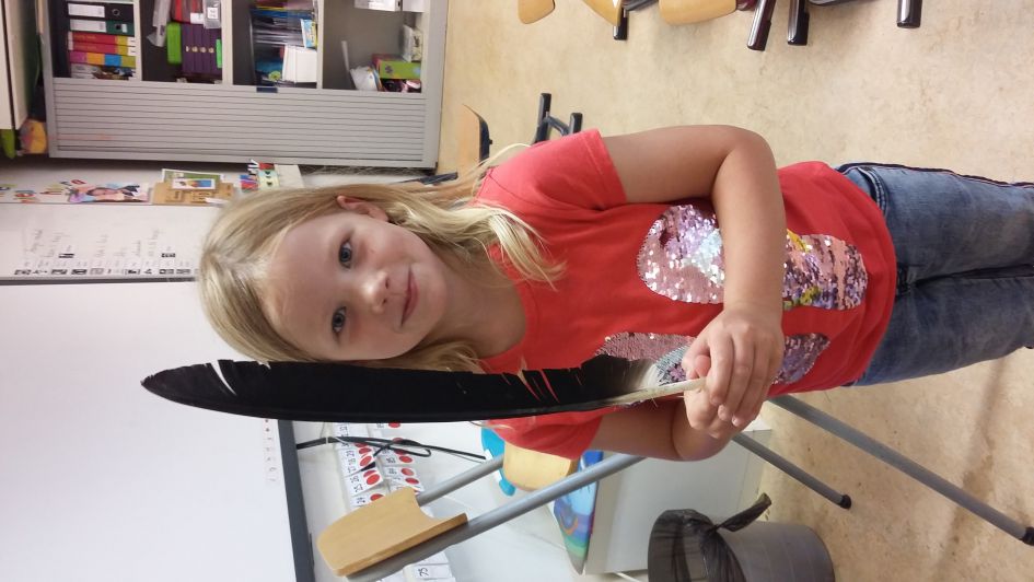 Van welke veer is deze vogel?