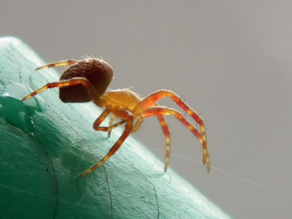 Geen steekjes laten vallen.