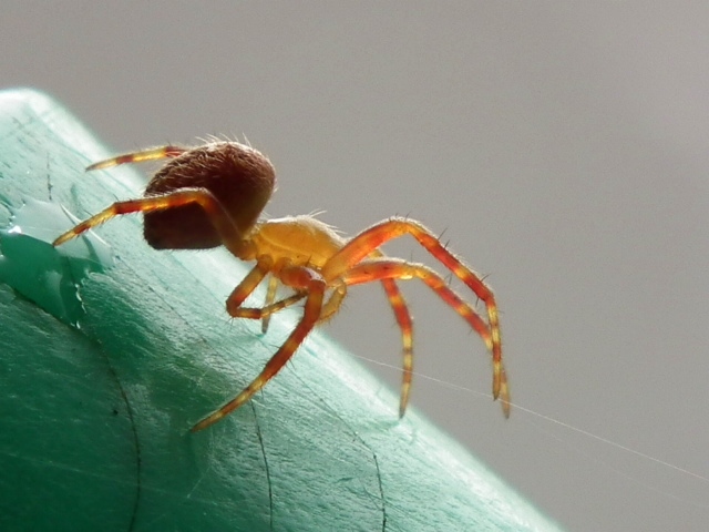 Geen steekjes laten vallen.
