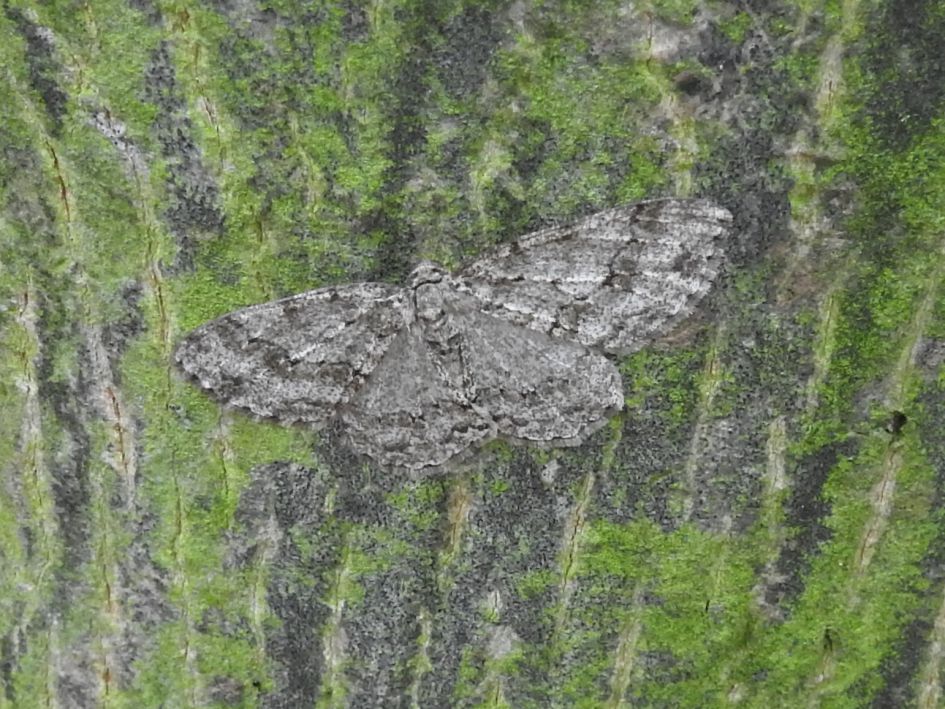 Welke spanner is dit?