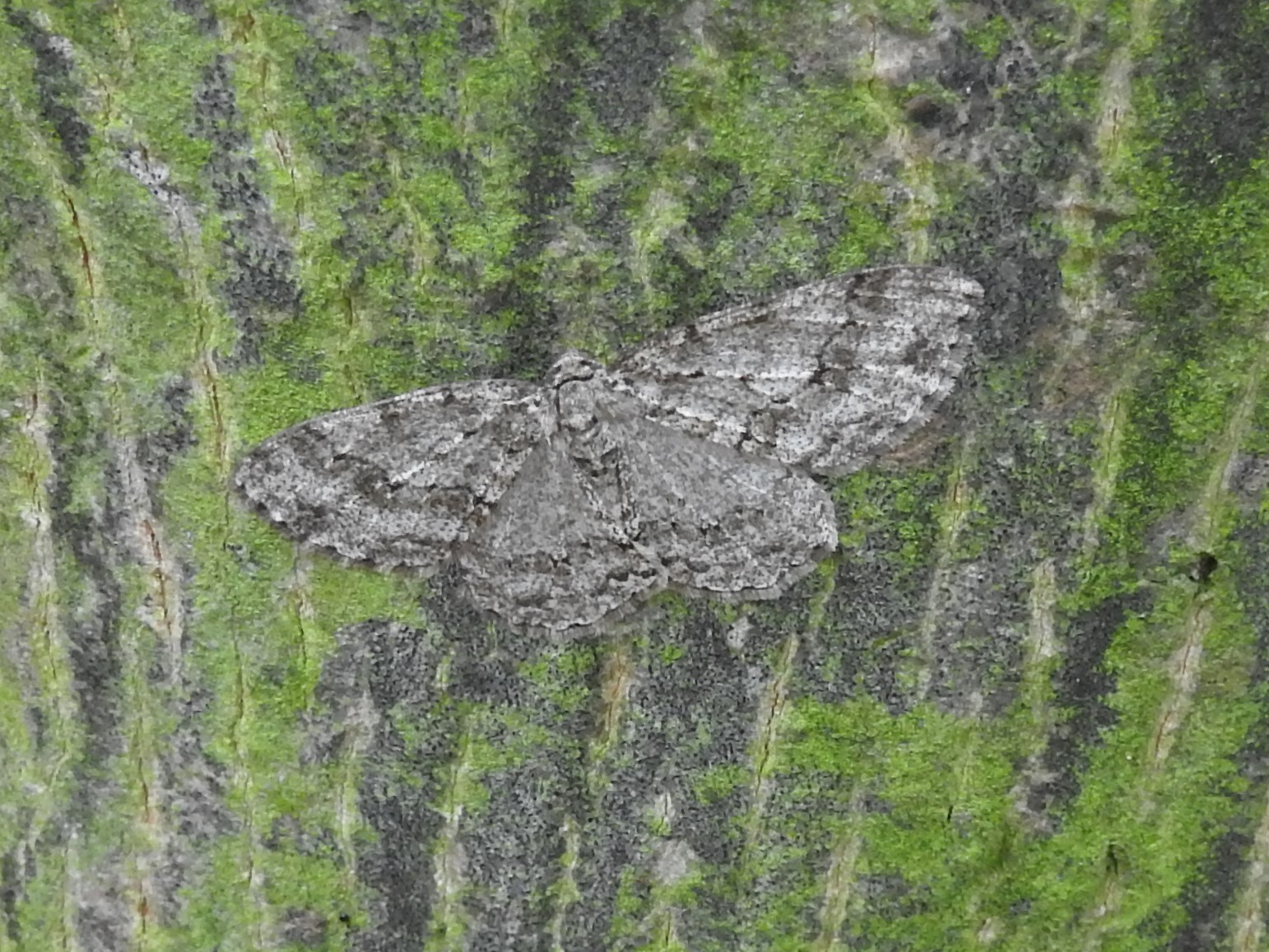 Welke spanner is dit?