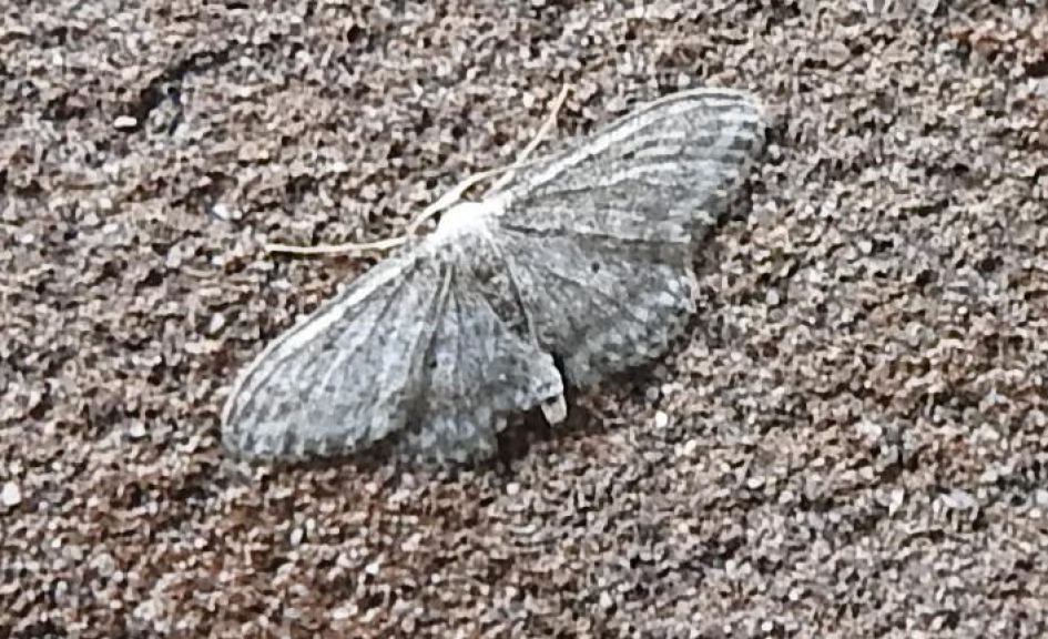 Welke spanner is dit?