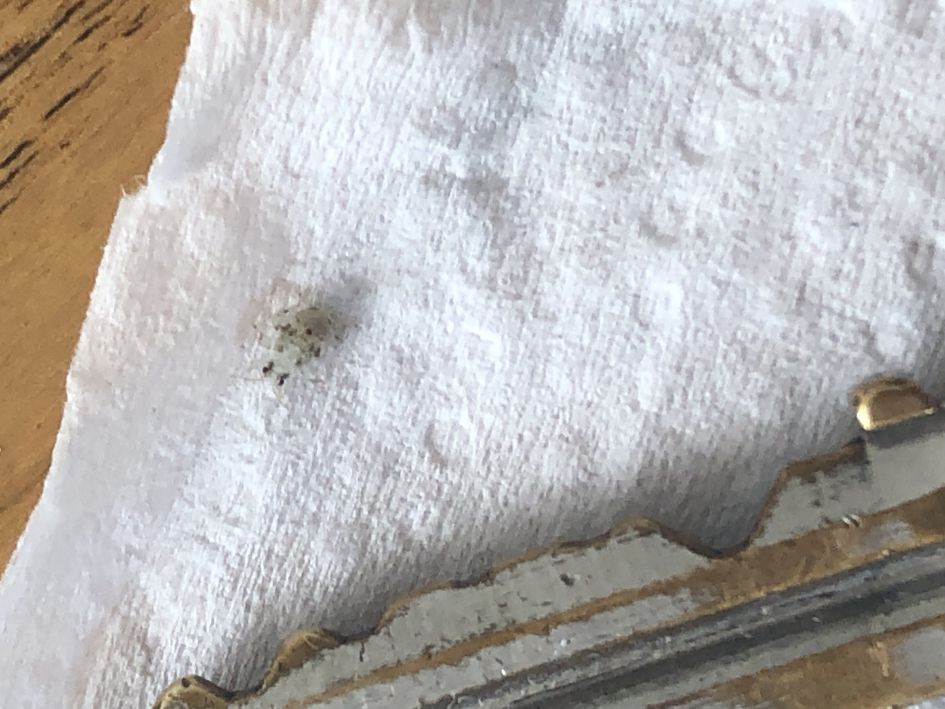 Wat is dit diertje?