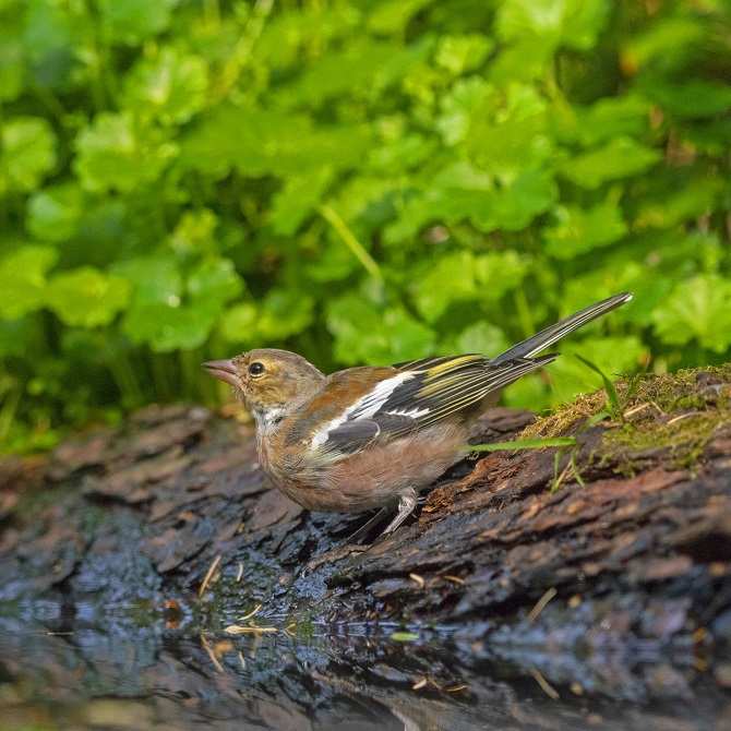 Wie bespaart mij veel tijd om te zoeken?