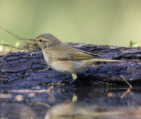 En de laatste voor vandaag ..