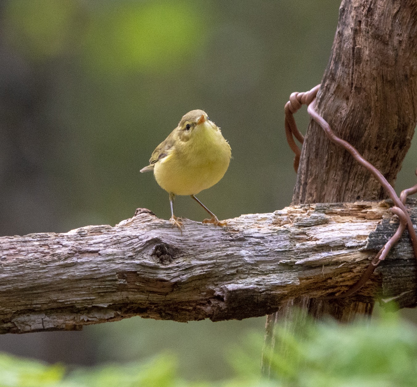 Wie bespaart mij nog meer tijd?