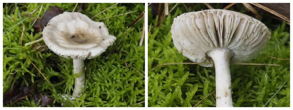 En de laatste vandaag