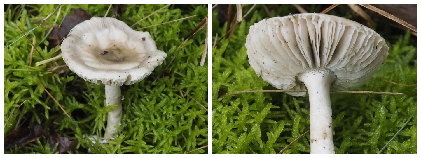 En de laatste vandaag