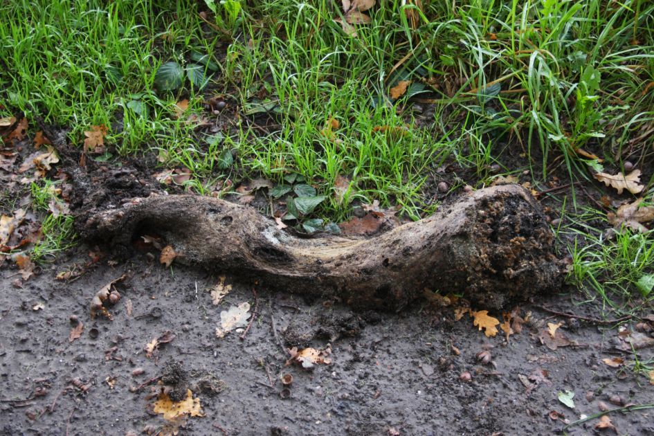 Onbekend zacht weefsel