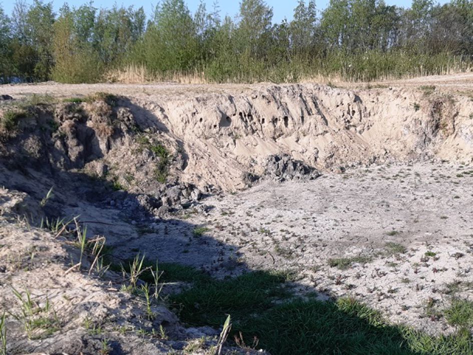 holen van oeverzwaluwen?