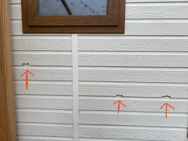 Koolmezen pikken aan houtwerk