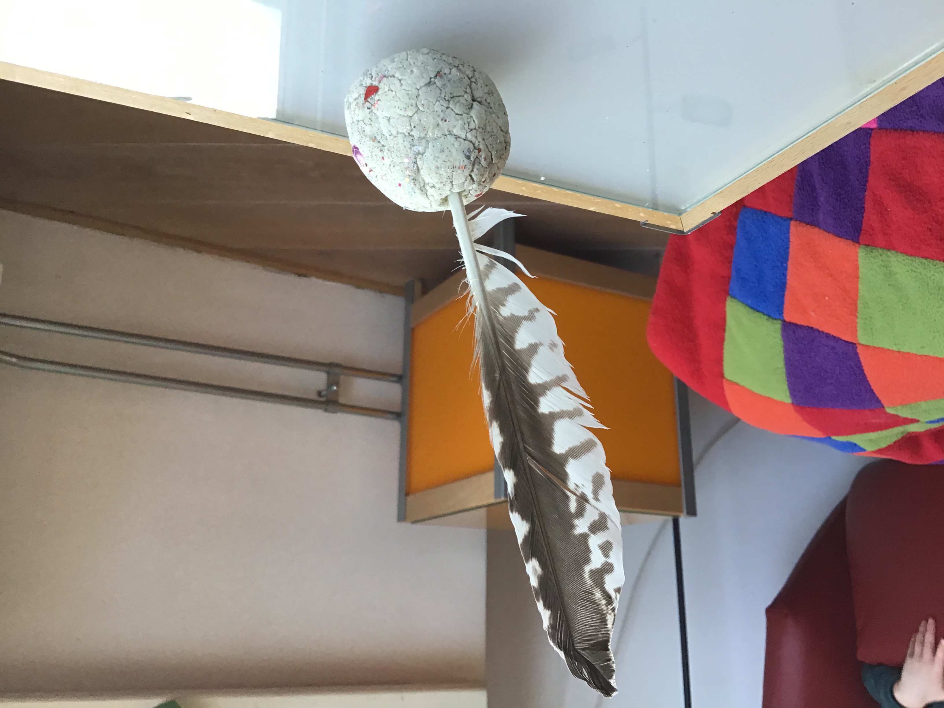 Veer van welke vogel