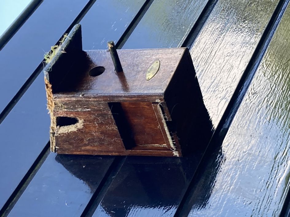 Nestkast koolmezen gesloopt