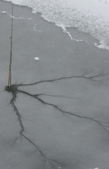 Profielfoto van hwbla1@upcmail.nl