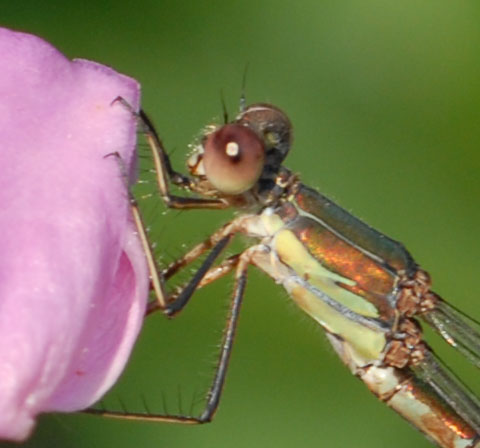 Profielfoto van erikdenboer