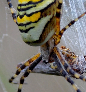 Profielfoto van RikWever