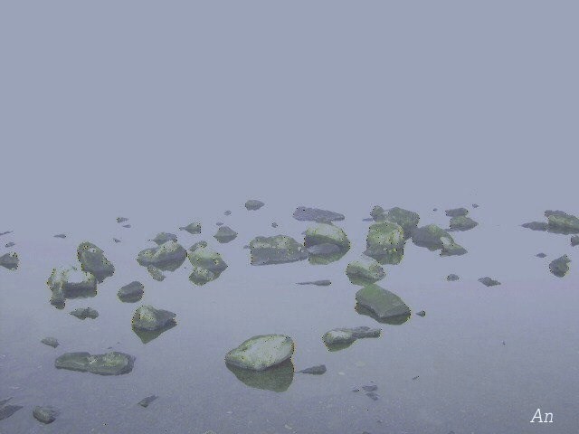 Profielfoto van lichtje